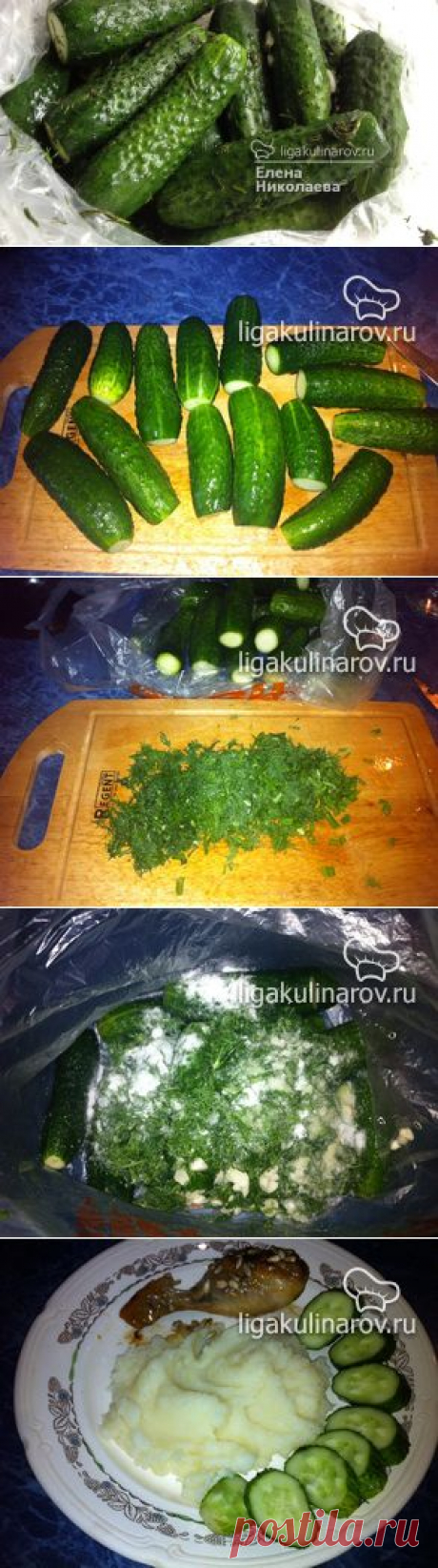 Малосольные огурцы без рассола – рецепт с фото от Лиги Кулинаров, пошаговый рецепт