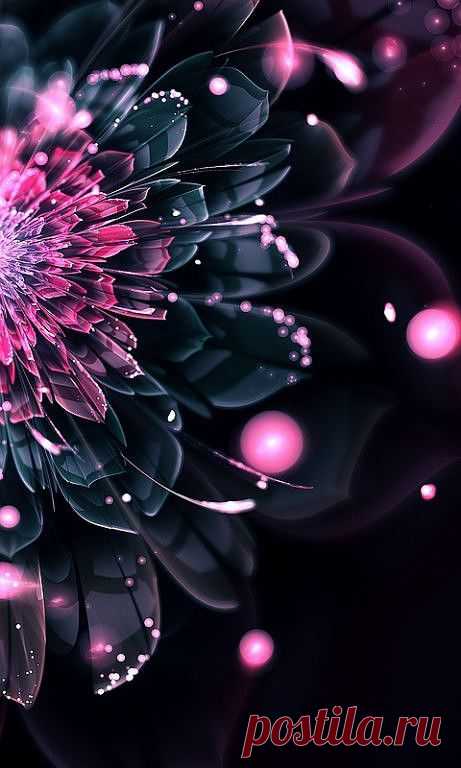 (1)