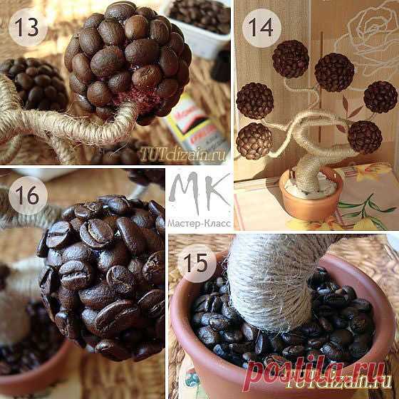 Кофейный баобаб