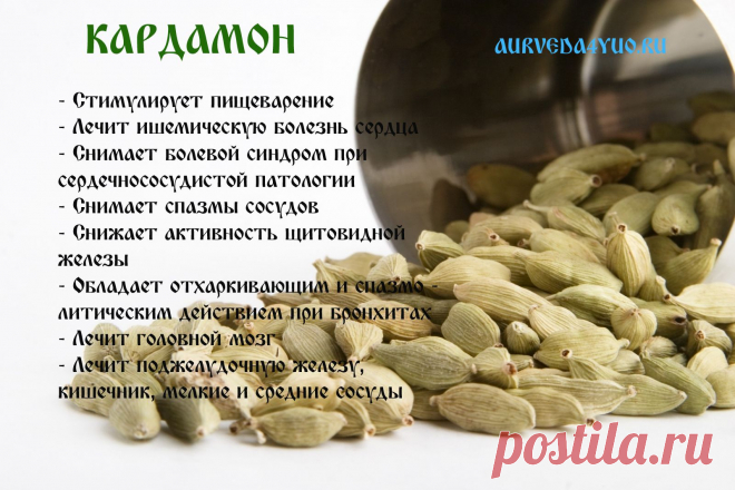 Мой Мир@Mail.Ru