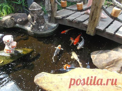 Поездка в Тайланд на остров Чанг (пляжный отдых) - liudm.se2012 — я.ру