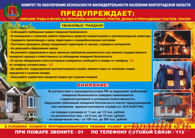 Дачники теперь обязаны обеспечивать пожарную безопасность на лесных участках