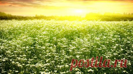 Мой Мир@Mail.Ru