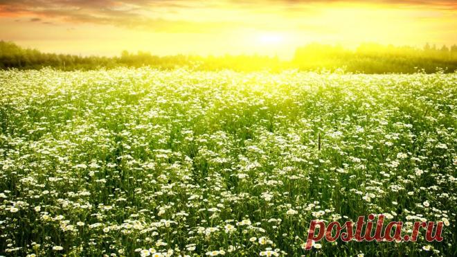 Мой Мир@Mail.Ru