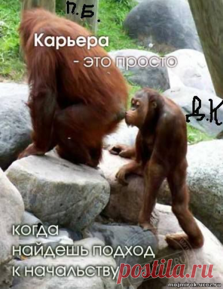 (8) Facebook