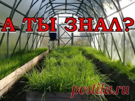 Подготовка ТЕПЛИЦЫ к зиме ПОШАГОВО