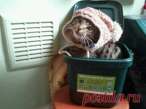 А зима точно-точно закончилась? )