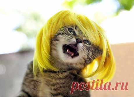 А я не хочу,не хочу по расчёту.........,а я по любви, по любви хочу......=))