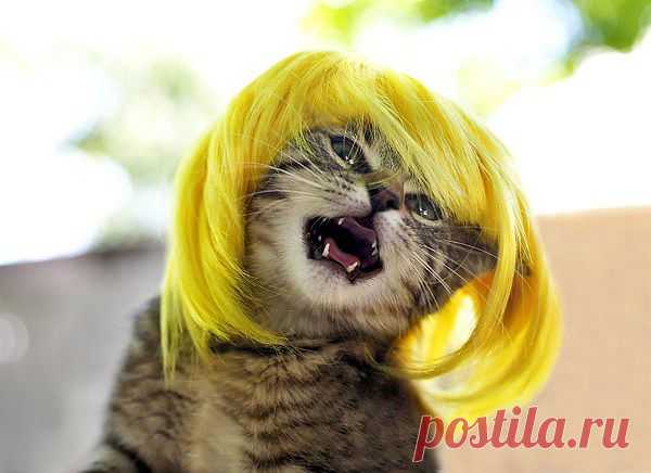 А я не хочу,не хочу по расчёту.........,а я по любви, по любви хочу......=))