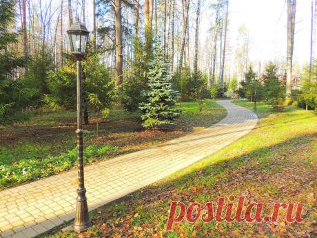 Сады - прерогатива великих людей | САДОВО-ДАЧНЫЕ ДЕЛА | Яндекс Дзен