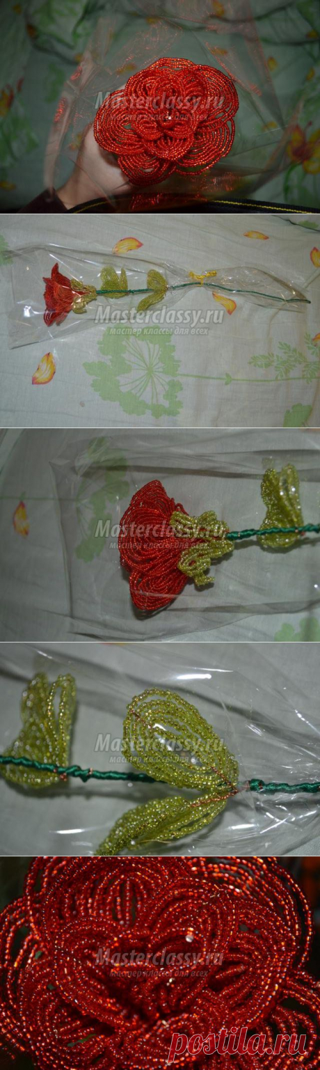 Красивая роза из бисера своими руками