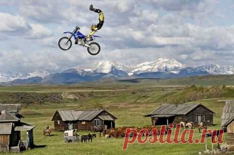 4a202e9c8e8dc.jpg (540×359)