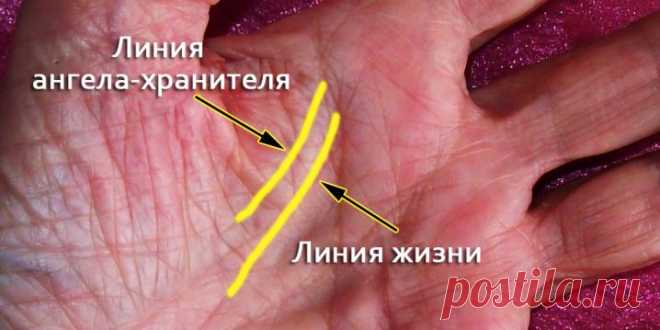 Очень мало людей имеют линию Ангела-хранителя на ладони... — Познавательное 2016 | NewsOne