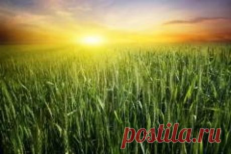 14 ИЮНЯ-Устин — Брусничные губы