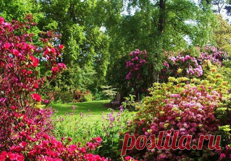 Timeline Photos - Sociedad Argentina de Horticultura
