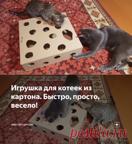 Игрушка для котеек из картона. Быстро, просто, весело! | Мастер Сергеич | Яндекс Дзен