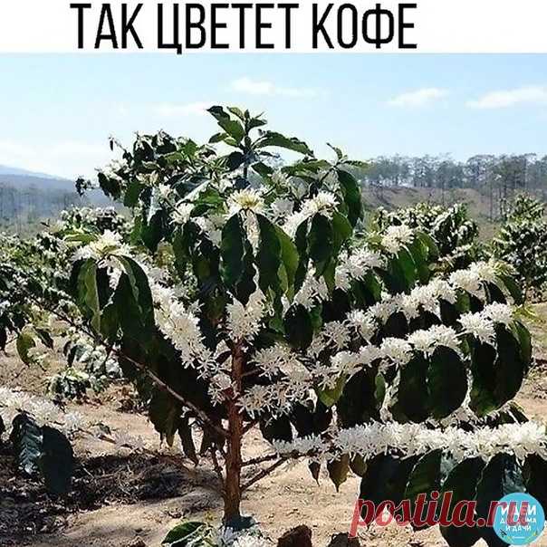 Красота-то какая...