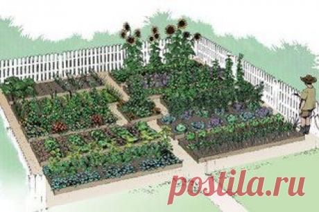 5 полезных советов