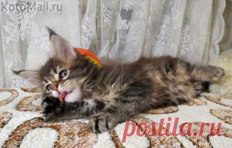 Я не против подкрепиться...