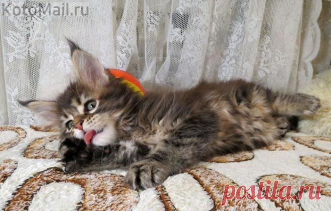 Я не против подкрепиться...