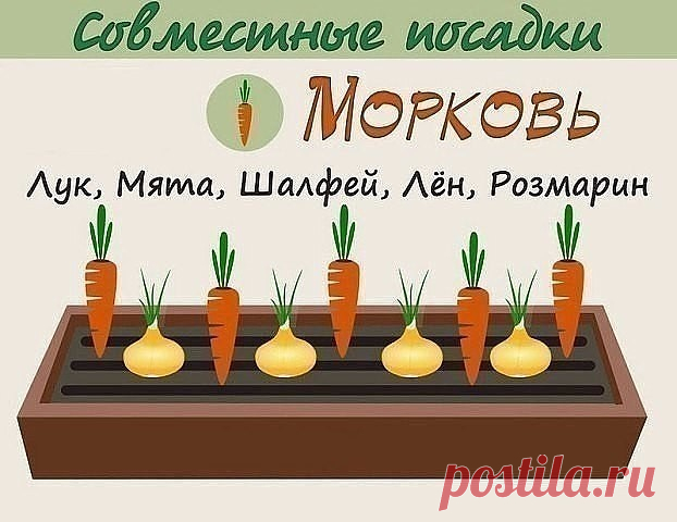 (2) Одноклассники