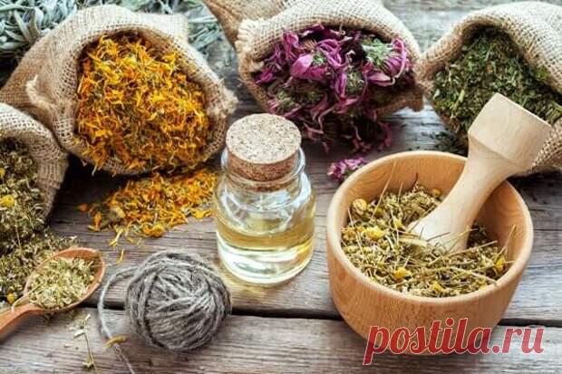 ЧабрецРекомендован при гриппе, при спазмах желудка, заболеваниях почек, как мочегонное, при анемии, бессоннице, мигренях, ревматических болях. Также пьют как «мужской» чай. РомашкаСердечный чай. Выраженное антитромбическое воздействием и антимикробное действие (при гриппе, простудах, воспалениях). - 9 июля - 43187486348 - Медиаплатформа МирТесен