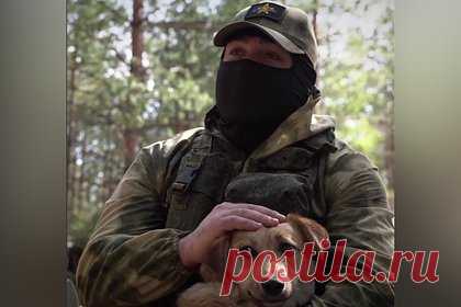 Артиллеристы рассказали о помощи собаки в обнаружении украинской техники. Российский артиллерист реактивной батареи с позывным Шама рассказал, как собака по кличке Альба помогла военным обнаружить украинскую боевую технику. По словам военнослужащего, однажды ночью животное вышло в поле и начало рычать в одну точку. Бойцы выдвинулись туда и заметили, что в посадке уже стояла техника.