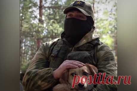 Артиллеристы рассказали о помощи собаки в обнаружении украинской техники. Российский артиллерист реактивной батареи с позывным Шама рассказал, как собака по кличке Альба помогла военным обнаружить украинскую боевую технику. По словам военнослужащего, однажды ночью животное вышло в поле и начало рычать в одну точку. Бойцы выдвинулись туда и заметили, что в посадке уже стояла техника.