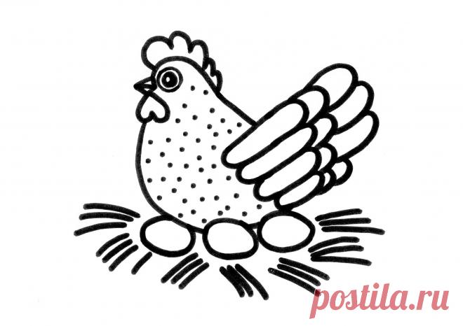раскраска петух курица цыпленок - Поиск в Google