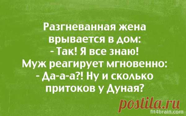 ~Шутки в тему~