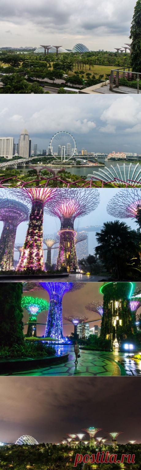 (+1) - Сингапур футуристический | ТУРИЗМ И ОТДЫХ