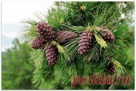 Упрощая жизнь | ВКонтакте