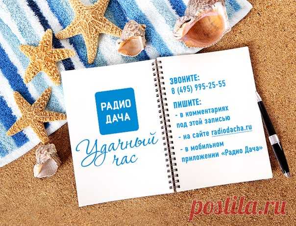 С пятницей Вас! Полёт отличный, настроение тоже! И пора делится им с близкими и дорогими людьми. И Вы можете это сделать. Оставляйте свои сообщения. САМЫЕ ИНТЕРЕСНЫЕ прочитаю в Удачном часе, который начнется ровно в полдень. Пишите!