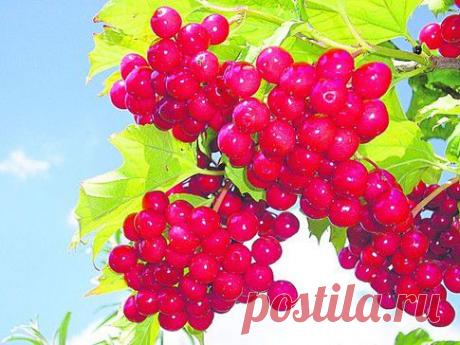 больной вопрос | Записи в рубрике больной вопрос | Дневник галина5819