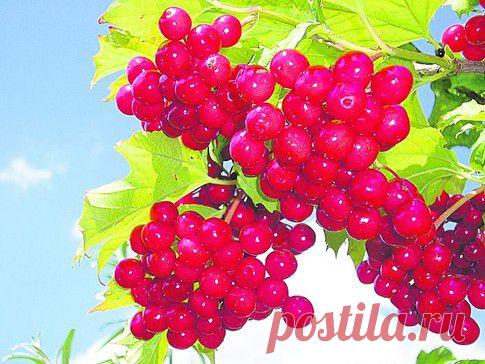 больной вопрос | Записи в рубрике больной вопрос | Дневник галина5819