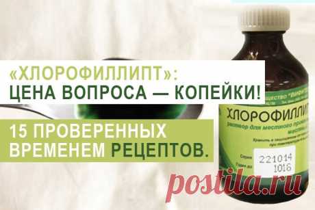 «Хлорофиллипт»: цена вопроса — копейки! 15 проверенных временем рецептов. - Полезные советы