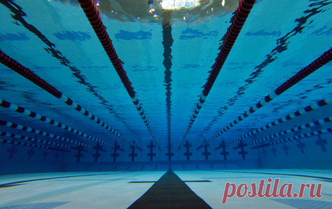 High School's girls' swimming - Qwant Search