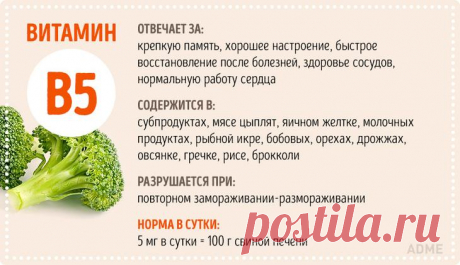 Все, что вы хотели знать о витаминах, но боялись спросить