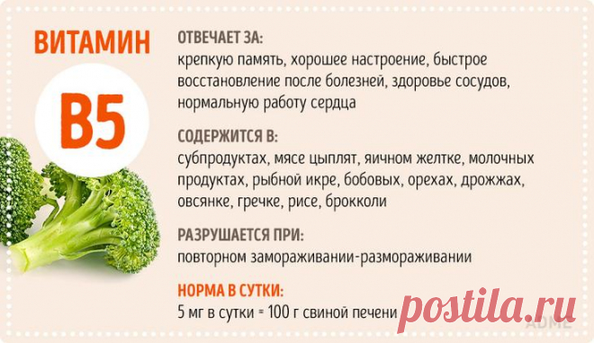 Все, что вы хотели знать о витаминах, но боялись спросить