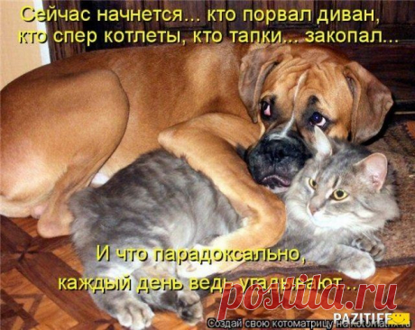 парочка!....хулиганов!!!