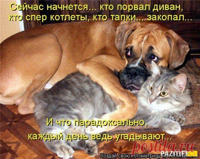 парочка!....хулиганов!!!