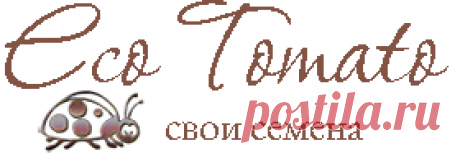 Статьи о томатах, селекция томатов в России, заболевания помидоров и томатов страница 2