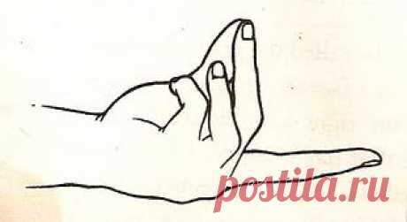 Бронхиальная Мудра (Bronchial-Mudra)