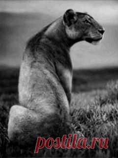 Светлана Чурушкина