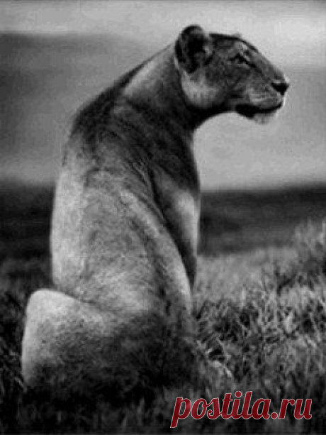 Светлана Чурушкина