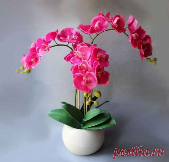 Орхидея отцвела: что делать дальше, чтобы цветок вас отблагодарил
