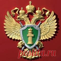 12 января отмечается 
