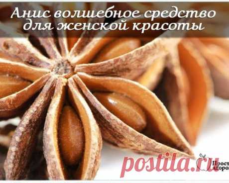 Анис – пряность, сохраняющая женскую красоту