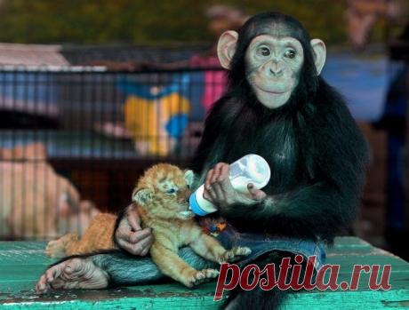 20 фотографий, которые никого не оставят равнодушным / Всё самое лучшее из интернета