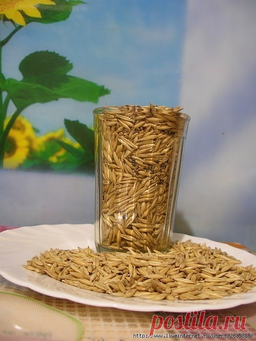 (48) Одноклассники      Основные лечебные свойства овса.